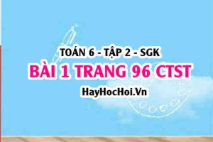 Giải bài 1 trang 96 Toán 6 Tập 2 Chân trời sáng tạo